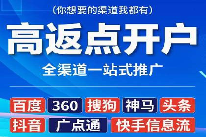 百度广告投放策略与效果评估案例